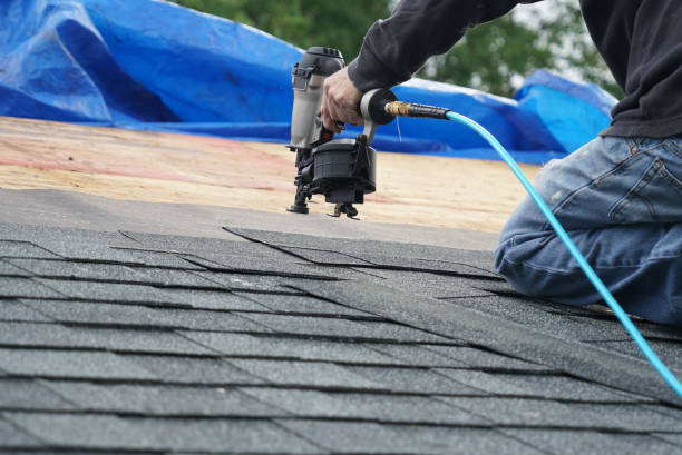 Best Roof Gutter Cleaning  in Ellington, MO