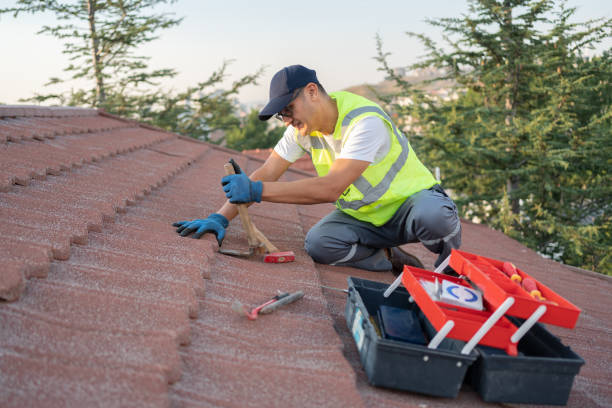 Best Flat Roof Repair Services  in Ellington, MO